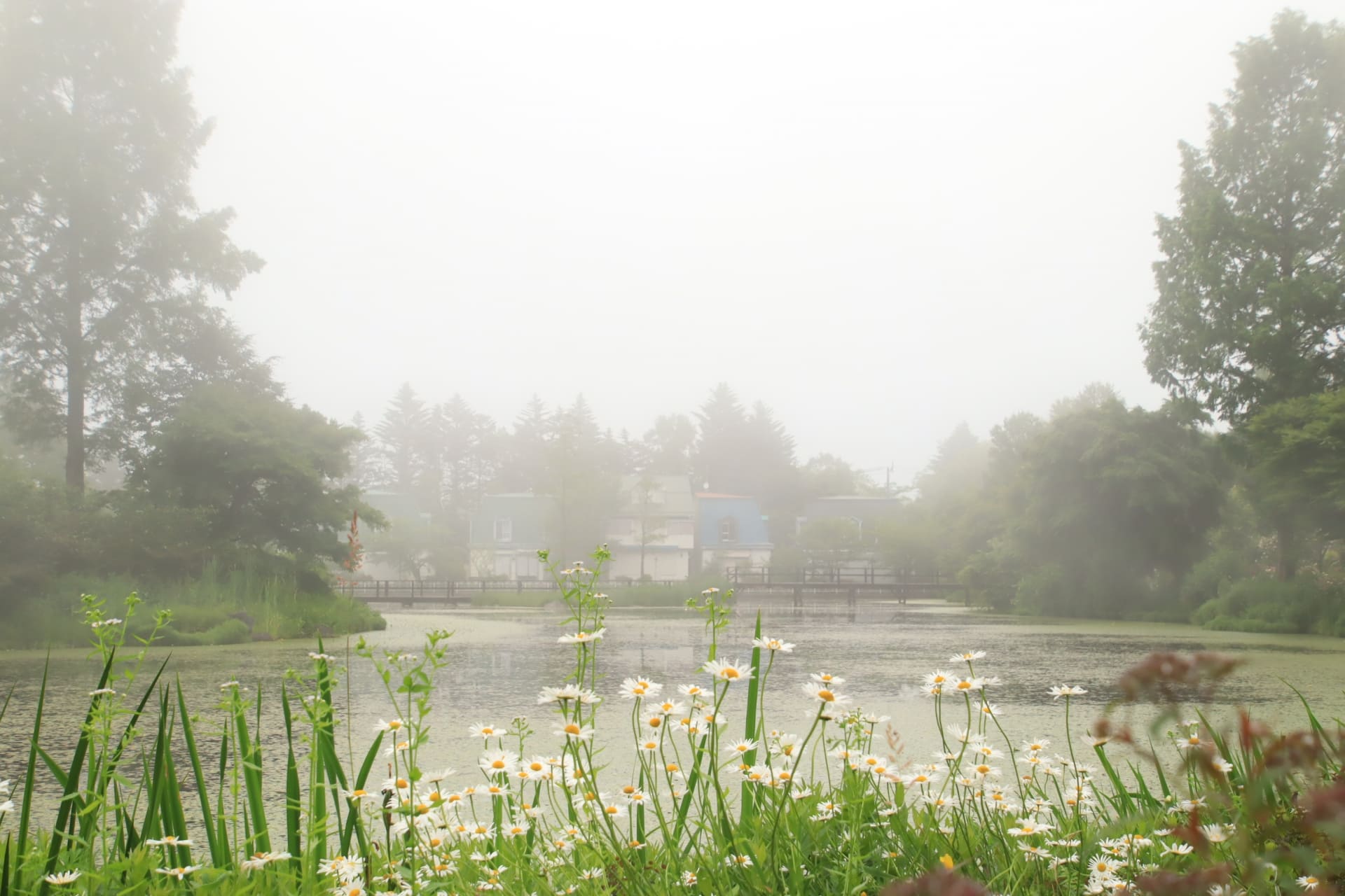 長野県の魅力再発見：春から秋までの絶景ガーデン＆日本庭園